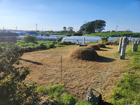 놀뫼장의사 PC 이미지 5575433