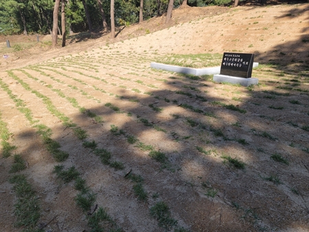 놀뫼장의사 PC 이미지 5575436