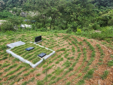 놀뫼장의사 PC 이미지 5575437