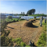 군산묘지관리-5575433