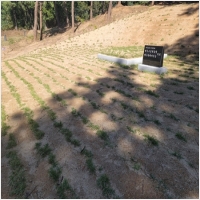 군산묘지관리-5575436