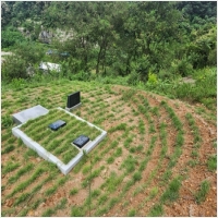 군산묘지관리-5575437