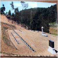 군산묘지관리-5575443